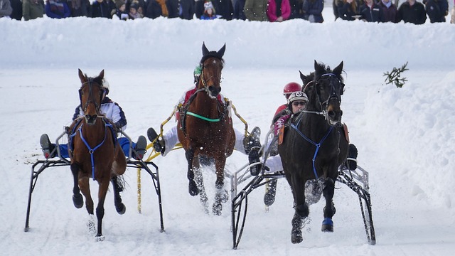 这场比赛的 这场比赛的
