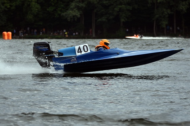 强调的集体 强调的集体