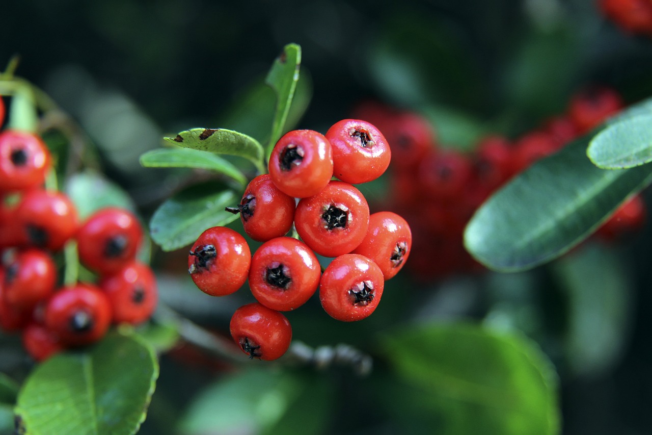 是一时的 是一时的